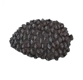 Schowek - Szyszka 11,5x5,5 cm