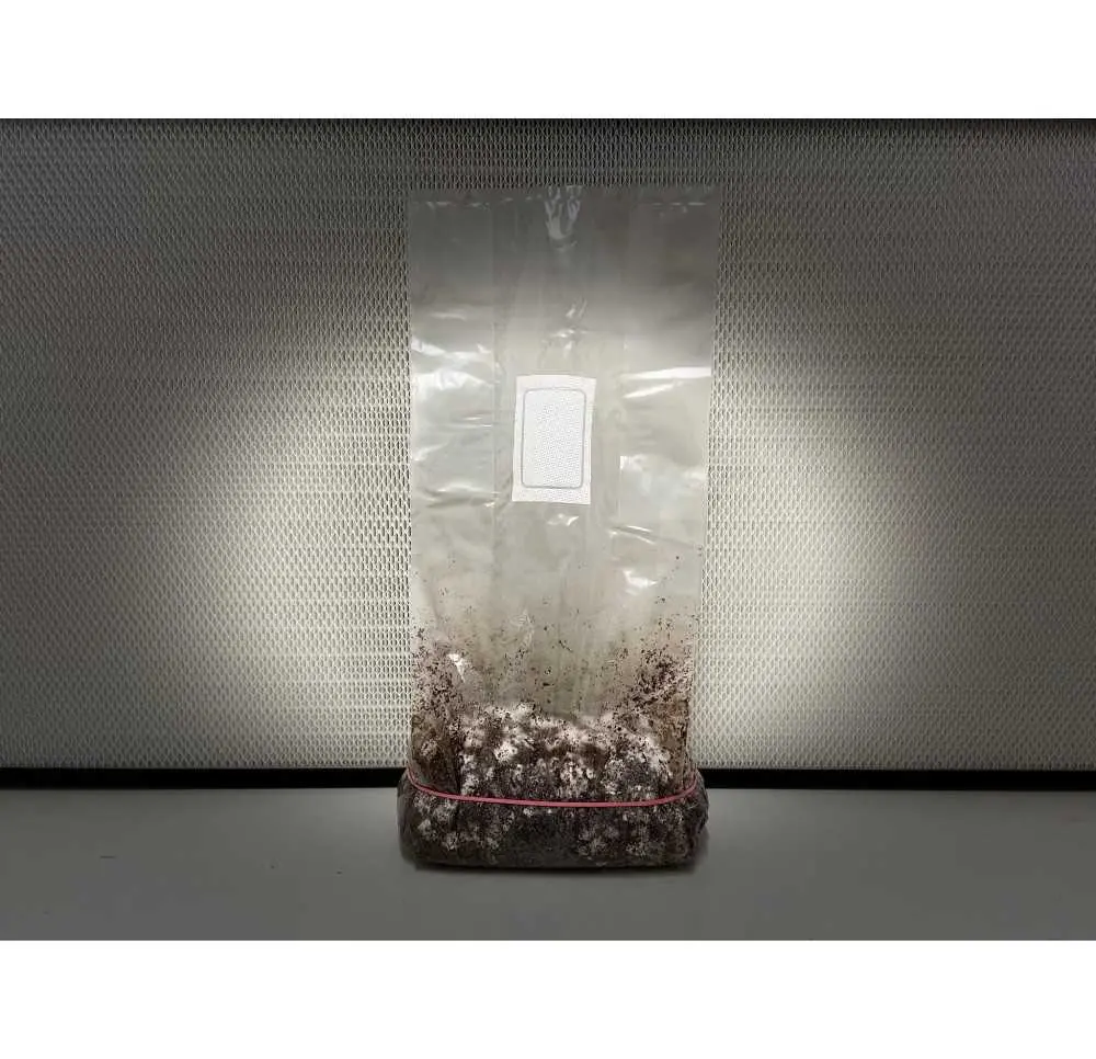 Growkit McKennaii Full Auto