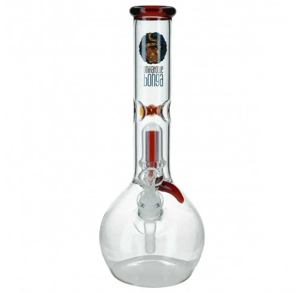 Unikatowe Bongo Sejmówka v2 - Miodowa / 36 cm / 3-4 mm